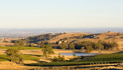 Barossa Valley Might Be the Most Famous Wine Region of Australia: Here’s Another You Should Know