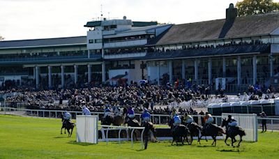 Chepstow tips: Hayley Moore's horses to follow on Saturday