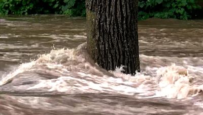 Persistent rains have some Minnesota river levels rising fast