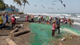 Pueblos costeros de Veracruz y su realidad por la contaminación