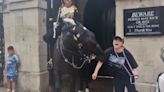 Video: un caballo de la Guardia Real británica mordió por sorpresa a una turista