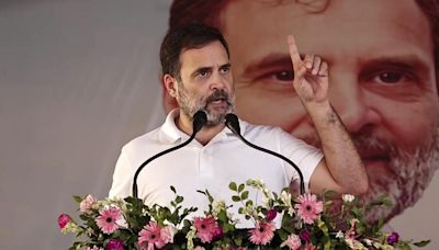 Many dynasts in new Modi-led NDA Cabinet: Rahul Gandhi