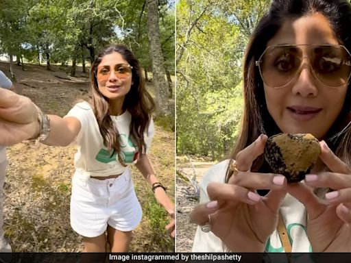 Like Shilpa Shetty's "Delicious Adventure" In Tuscany, Tick Off Truffle Hunting From Your Travel Bucket List