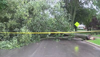 Scattered storms bring localized flooding to Chicagoland