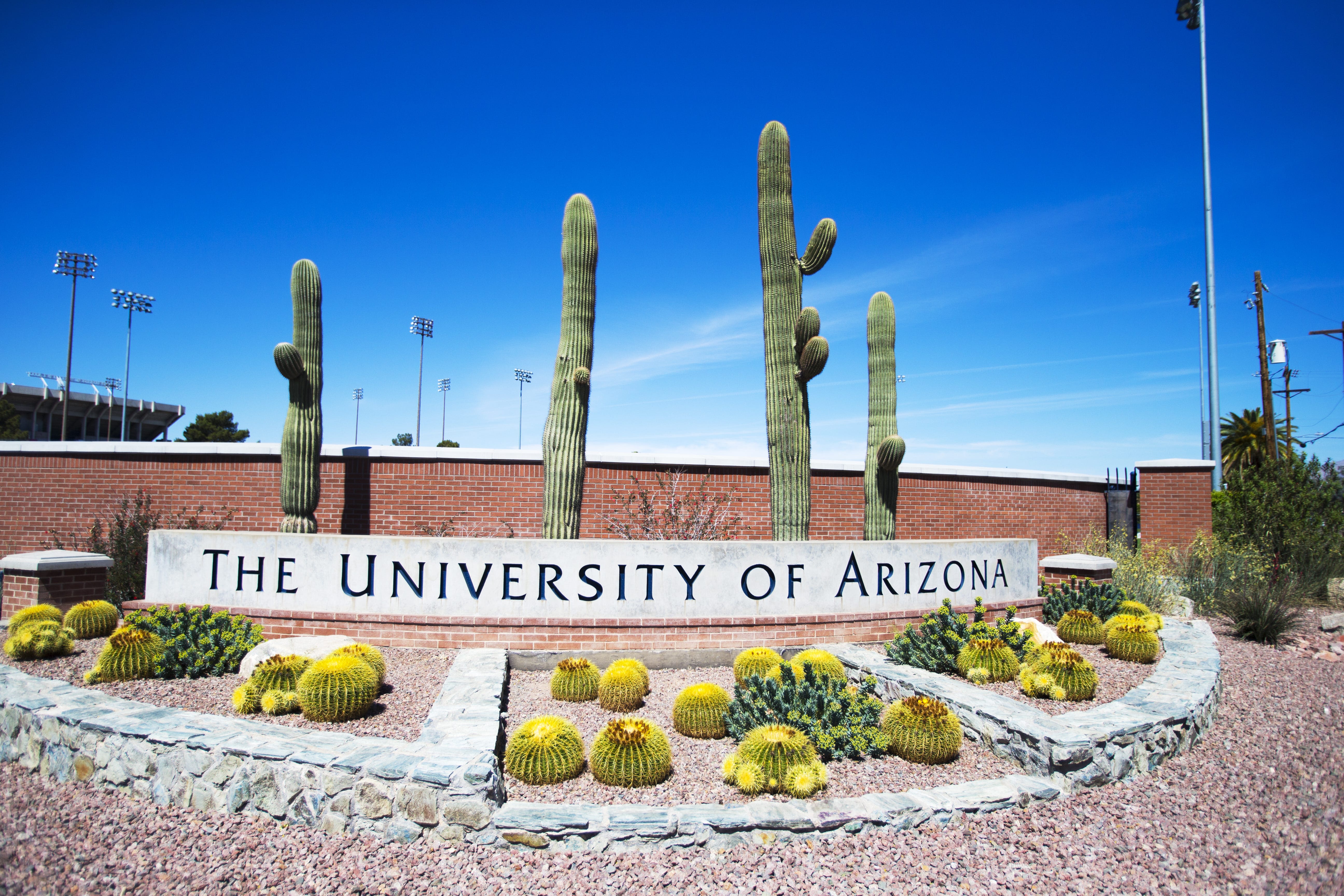 Shooting near dorms at University of Arizona leaves 1 student dead