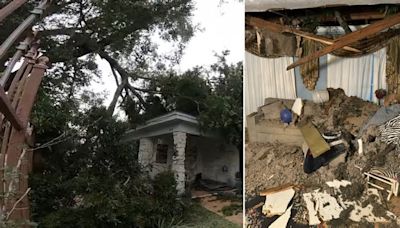 Houston family cleaning up damage after part of large tree on city's property collapses into their living room