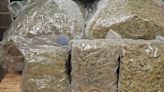 Revenue seizes quantities of illegal drugs and retail goods in parcels