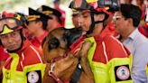 Firefighter dogs who rescued people from natural disasters in Ecuador retire