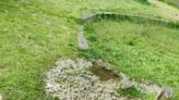 Parent 'disgusted' with raw sewage leak at children's play park