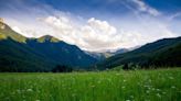 Simply looking at greenery can boost mental health, says new research