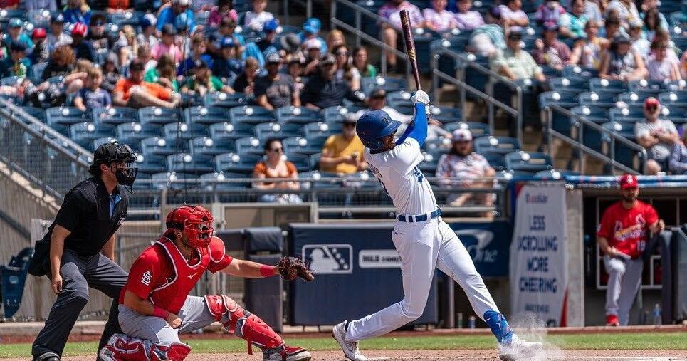 Brendon Davis worth the wait for Drillers | Barry Lewis' three takeaways from Cardinals' series