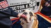 A new Victor E. Bulldog to take over as Fresno State mascot. PETA says it’s cruel
