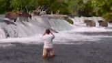 Three men sentenced to jail and fined for wading with bears