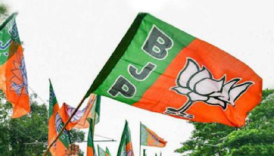 Karnataka Lok Sabha Winners List 2024: Check Constituency-Wise Winners List