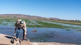 How many farms can Arizona and California lose before we feel it at the grocery store?