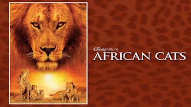 African Cats - Il regno del coraggio