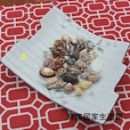 進口天然貝殼 - 滴膠作品魚缸盆栽裝飾/1組