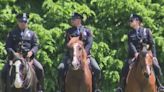 Nassau County police welcome new dogs, horses to K-9, mounted units