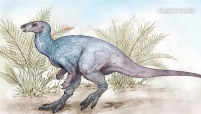 Scientists discover new dinosaur in Argentina