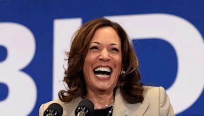 From ‘brat’ to ‘coconut tree’: How Kamala Harris is in the middle of a meme storm