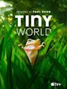 Tiny World