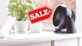 Amazon Prime Day shoppers rush to buy 'powerful' desk fan for £15.99