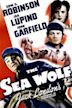 The Sea Wolf (1941 film)