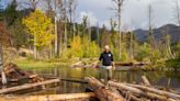 A good log jam? How restored habitats aim to help returning salmon on McKenzie River