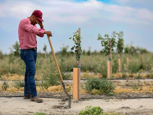 As California seeks to curb groundwater declines, farmers in one county fight back in court