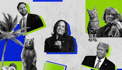 Weird, brat and childless cat ladies: Election buzzwords take the internet by storm