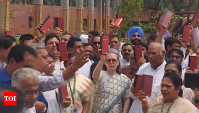 INDIA bloc's show of strength in parliament, raise call to 'save Constitution' | India News - Times of India