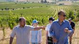 Ukrainian winemakers visit California's Napa Valley to learn how to heal war-ravaged vineyards