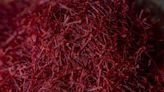 Red gold: Climate change plays role as saffron cultivation comes to Nova Scotia