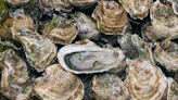 California’s Torrential Rains Are Wreaking Havoc on the State’s Oyster Farms