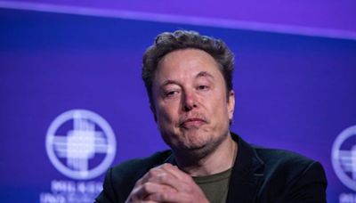 Elon Musk kämpfte mit einem Sumo-Ringer: Aus ein "paar Minuten Ruhm" wurden "acht Jahre Nackenschmerzen", sagt der Tesla-Chef