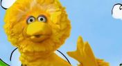 32. Big Bird's Fairytale