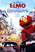 The Adventures of Elmo in Grouchland