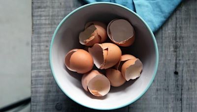El peligroso motivo por el que nunca vas a volver a romper los huevos en la sartén o la mesada