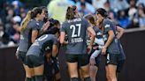 NWSL Private Equity Rules: What Stake Can PE Have in Teams?