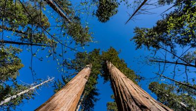 California State Parks Encourages Visitors to Recreate Safely and Responsibly During 2024 Memorial Day Weekend