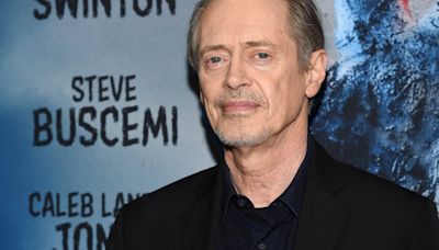 Man Charged in Random Attack on Steve Buscemi in New York