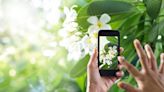 Heading outdoors? Apps like LeafSnap and Picture Insect can help identify plants and animals.