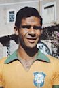 Brito (footballer, born 1939)