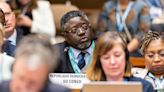 Seventy-seventh World Health Assembly – Daily update: 29 May 2024