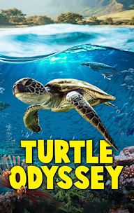 Turtle Odyssey