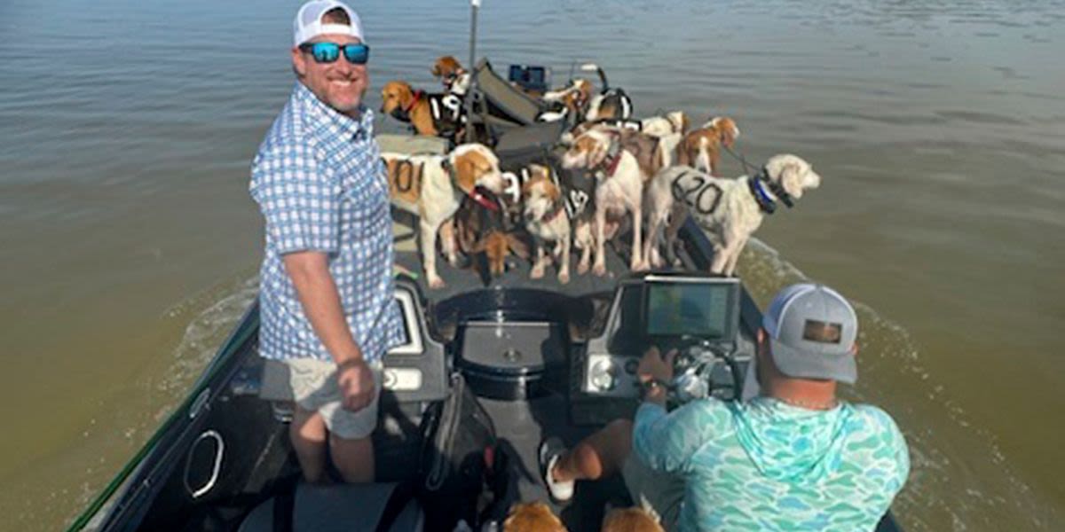 Trio Of Fishermen Rescues 38 Dogs From Drowning In Lake