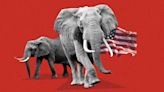 Perspective: The GOP’s path to victory in 2024