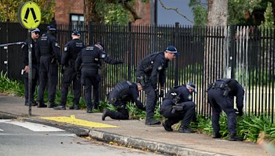 Boy accused of stabbing student at Sydney university has faced previous charges, officials say