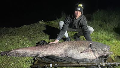 'It was a monster': Record-breaking 143-pound catfish reeled in at UK lake