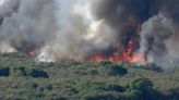 Crews battle Reay Fire burning near Thatcher